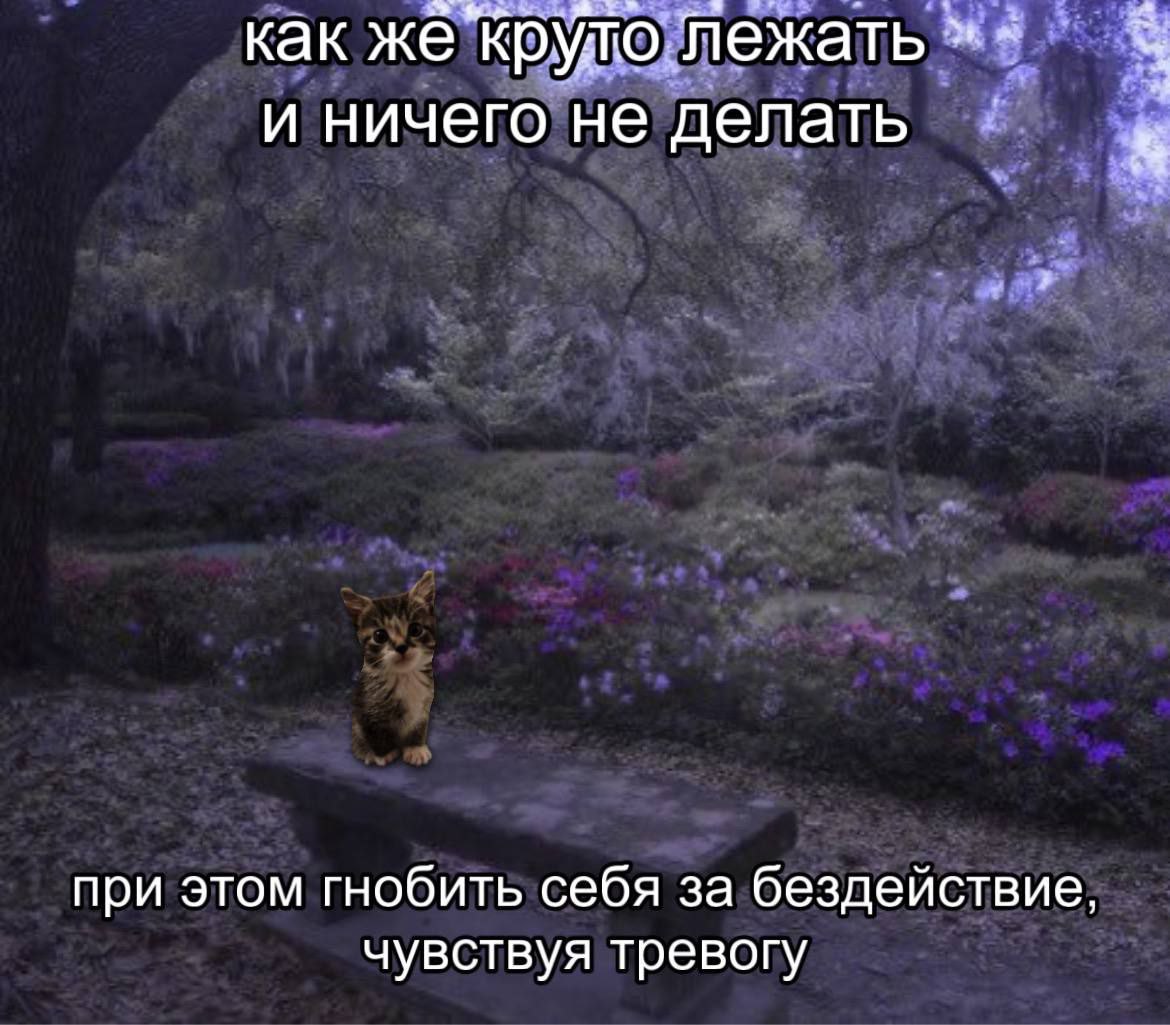 catsilcats's tweet image. 