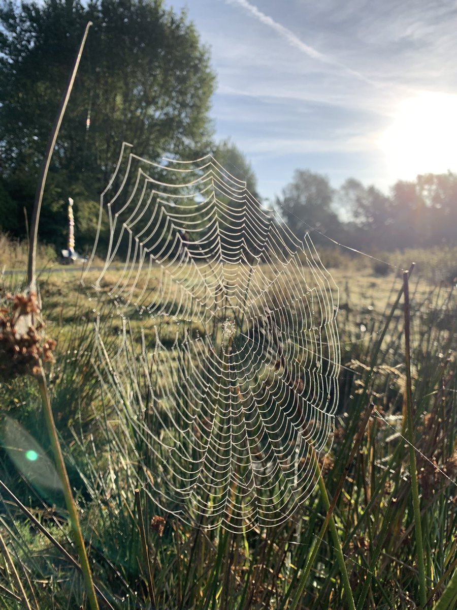 Michael Plevin (@mjplevin) on Twitter photo The commute to work is especially nice on a clear autumn morning
<a href="/BiologyatYork/">Biology at York</a> <a href="/UniOfYork/">University of York</a> The commute to work is especially nice on a clear autumn morning
<a href="/BiologyatYork/">Biology at York</a> <a href="/UniOfYork/">University of York</a>