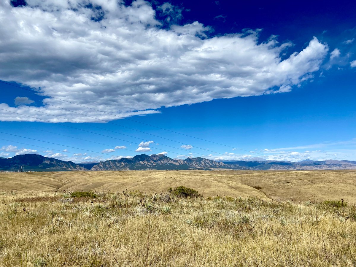 Back yard is looking especially fetching this morning.