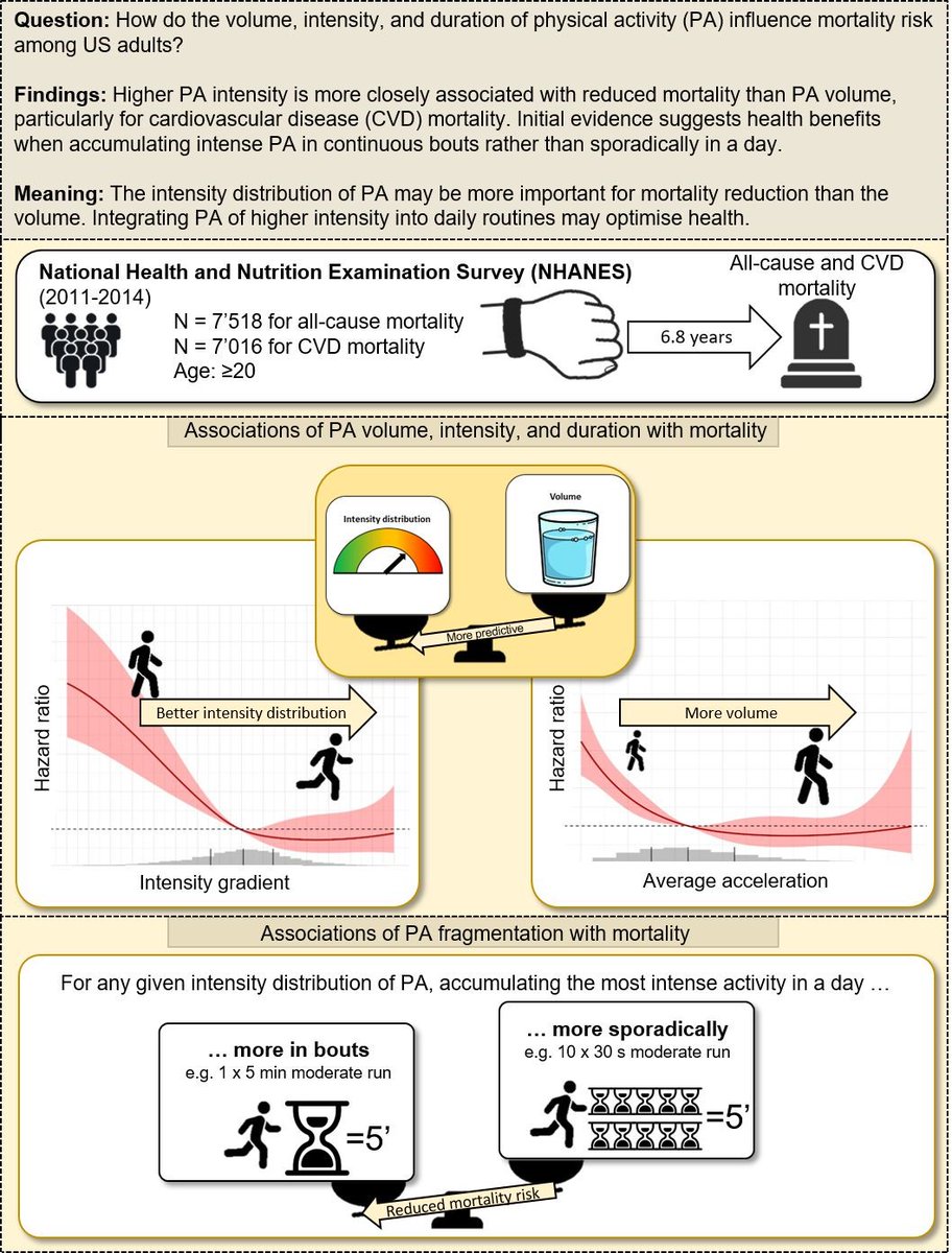 1/🚨 Intensity of physical activity is more closely linked with reduced mortality risk than volume, particularly for  cardiovascular disease mortality. This underscores the relevance of integrating higher-intensity physical activity into daily routines for health optimisation.