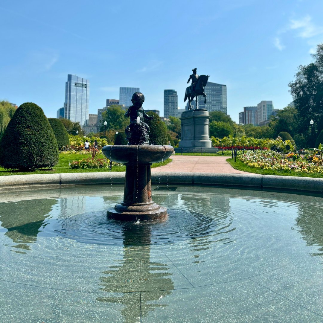 Boston Parks and Recreation Department tweet media