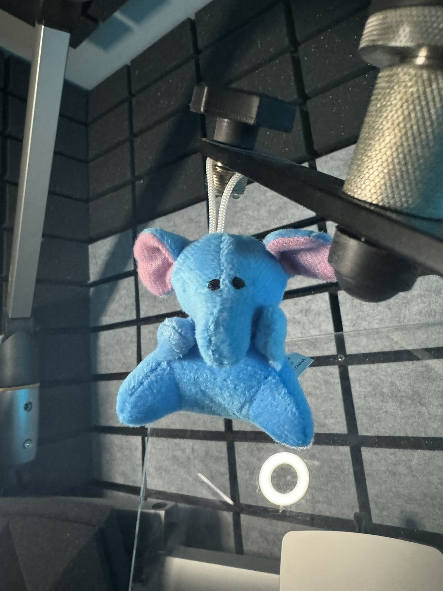 izzyvoiceover's tweet photo. Meet my new Booth Buddy: Schnozberry the Elephant! He just arrived in my eVOcation Conference Swag bag. He even matches my brand colors! ๐๐ฉต
#boothbuddy #evocationconference https://t.co/g8IYYTOYQs