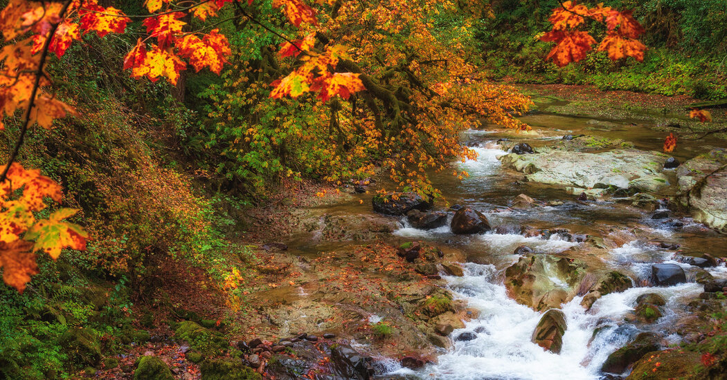 7 Beautiful Places for Fall Foliage That Aren’t in New England nytimes.com/2024/09/17/tra…