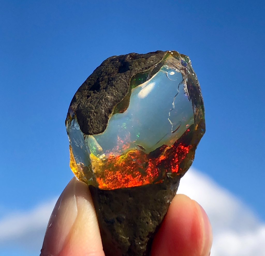 Geology Tweets tweet media