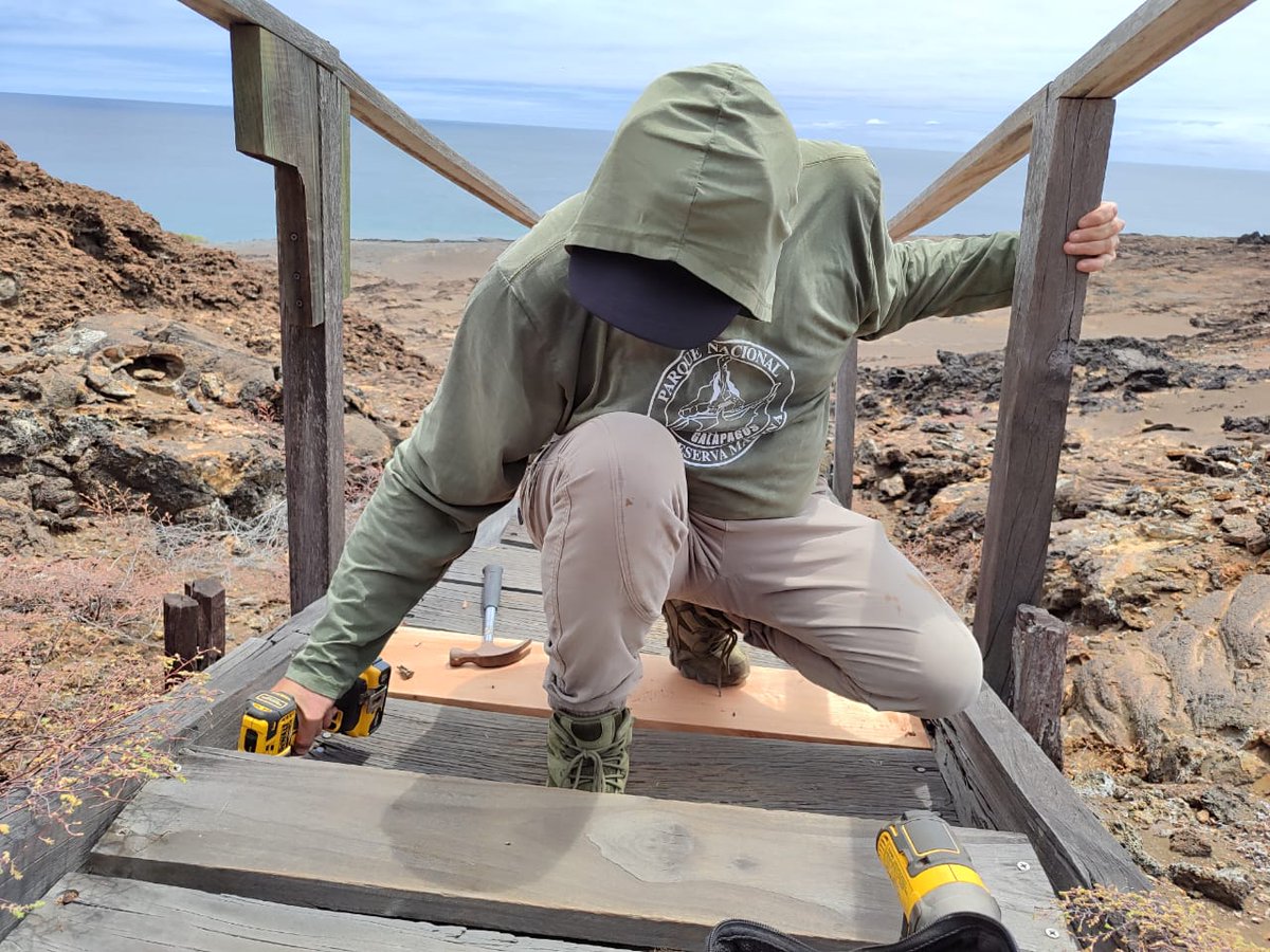 parquegalapagos's tweet photo. #Galaápagos | Guardaparques  de la #DPNG realizaron mantenimiento  correctivo de la infraestructura turística en el sitio de visita  #Bartolomé, en el centro del archipiélago. 

El mantenimiento se  centró en mejorar la accesibilidad y seguridad del sitio. En dos días de  trabajo, los guardaparques reemplazaron maderas deterioradas,  reajustaron las bases y renovaron los tablones de las escalinatas y  pasamanos. La intervención fue apoyada logísticamente por la lancha  rápida Sea Ranger 12, lo que facilitó el traslado de materiales y personal.

Este trabajo es fundamental para garantizar que los  visitantes puedan disfrutar del sitio de manera segura y sostenible,  preservando al mismo tiempo la integridad del entorno natural.