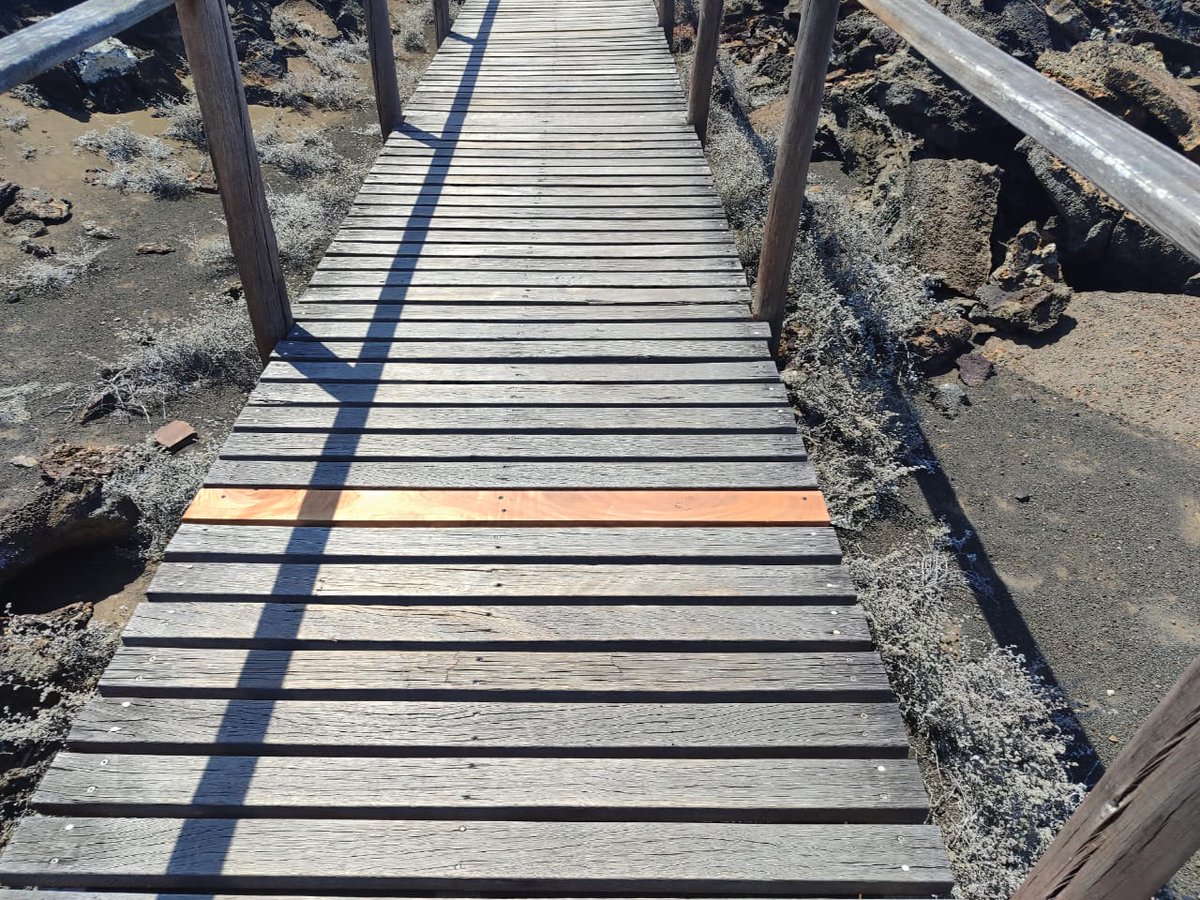 parquegalapagos's tweet photo. #Galaápagos | Guardaparques  de la #DPNG realizaron mantenimiento  correctivo de la infraestructura turística en el sitio de visita  #Bartolomé, en el centro del archipiélago. 

El mantenimiento se  centró en mejorar la accesibilidad y seguridad del sitio. En dos días de  trabajo, los guardaparques reemplazaron maderas deterioradas,  reajustaron las bases y renovaron los tablones de las escalinatas y  pasamanos. La intervención fue apoyada logísticamente por la lancha  rápida Sea Ranger 12, lo que facilitó el traslado de materiales y personal.

Este trabajo es fundamental para garantizar que los  visitantes puedan disfrutar del sitio de manera segura y sostenible,  preservando al mismo tiempo la integridad del entorno natural.