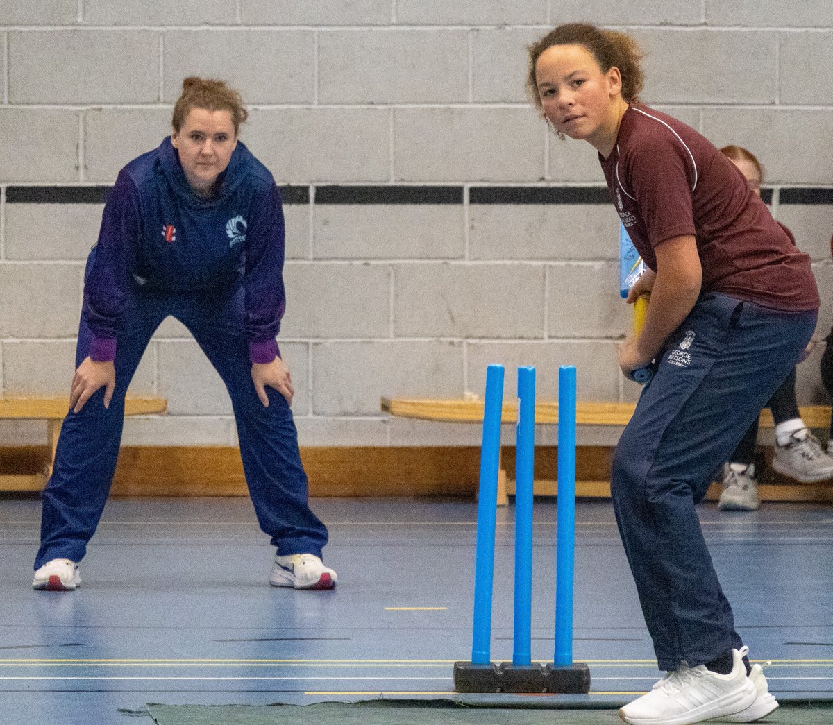 Cricket Scotland tweet media