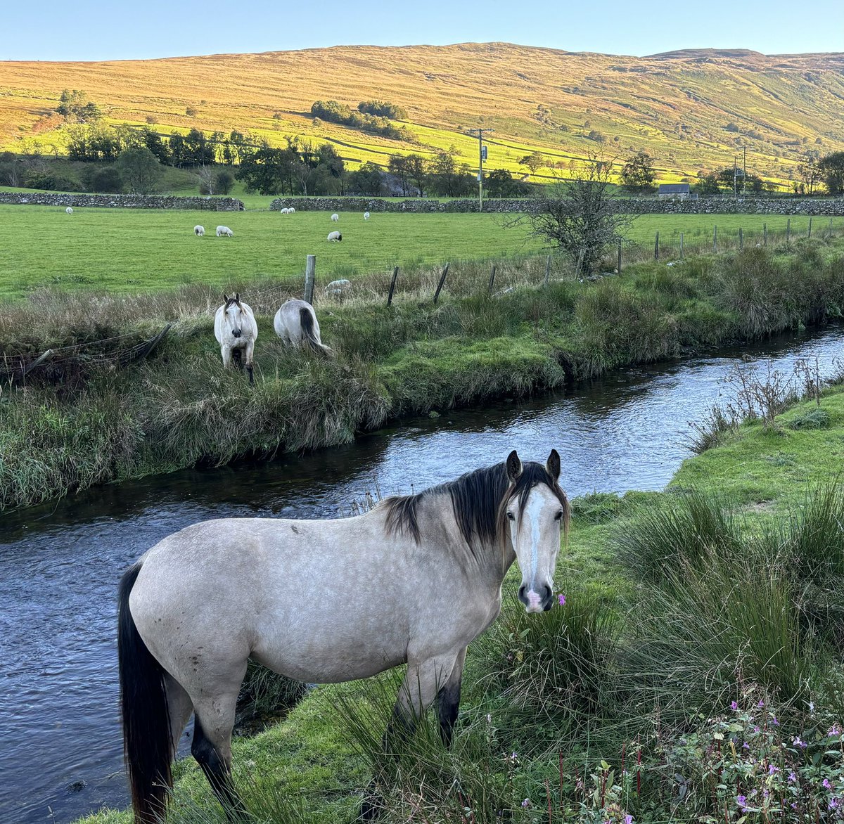 Gwneud y mwyaf o’r haul.