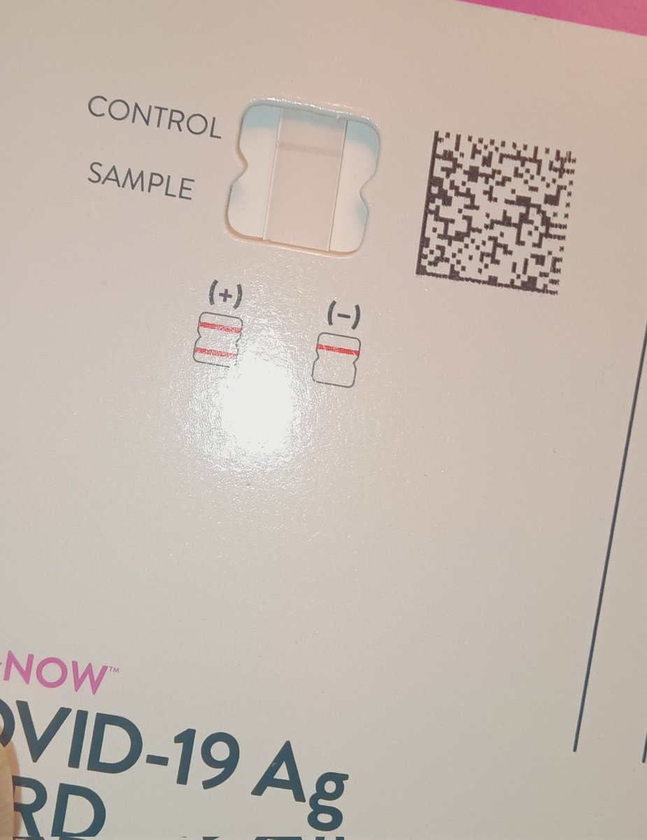 5stringmadman's tweet image. Hell yeah, LETS GO!