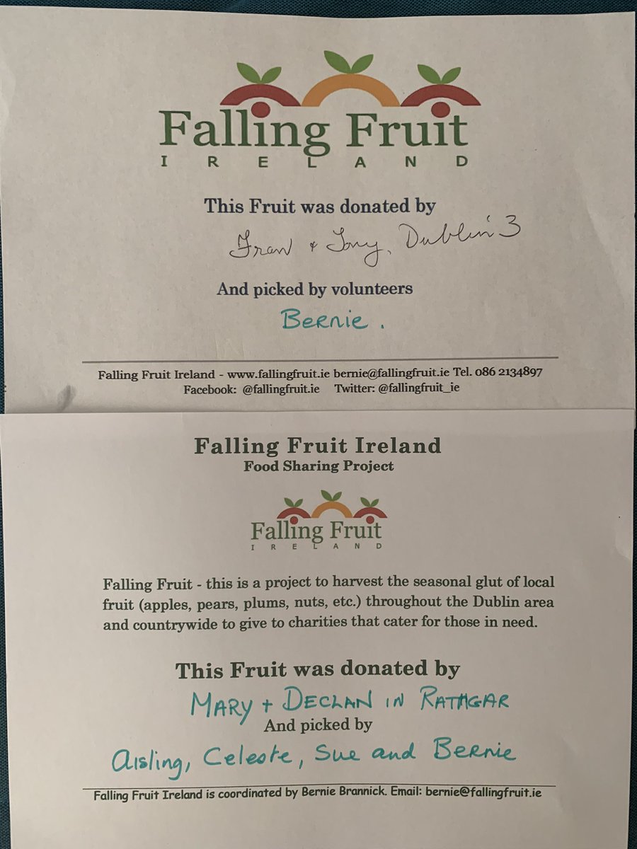 🍎Two more apple donations - Fran and Tony in D3 - eating apples; Mary and Declan in D6 - cooking apples for charity. Fabulous helpers - Aisling, Celeste, Sue, were awesome, tackling a very difficult tree and taking care of delivery. Apples go to a Drogheda charity. 🙏🏻💚🙏🏻