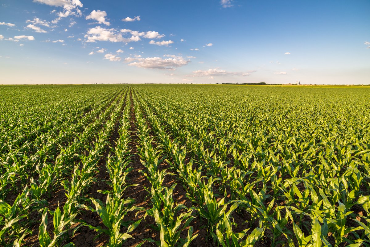 NewFashionPork's tweet photo. NFP's Environmental Services team recognizes the impact of Green House Gases (GHGs) on the environment. We pledge to protect our natural resources water, soil, and air by reducing the impact of our environmental footprint.
#realpigfarming #porkproduction #bestmanagementpractices https://t.co/RGxoMm2axs