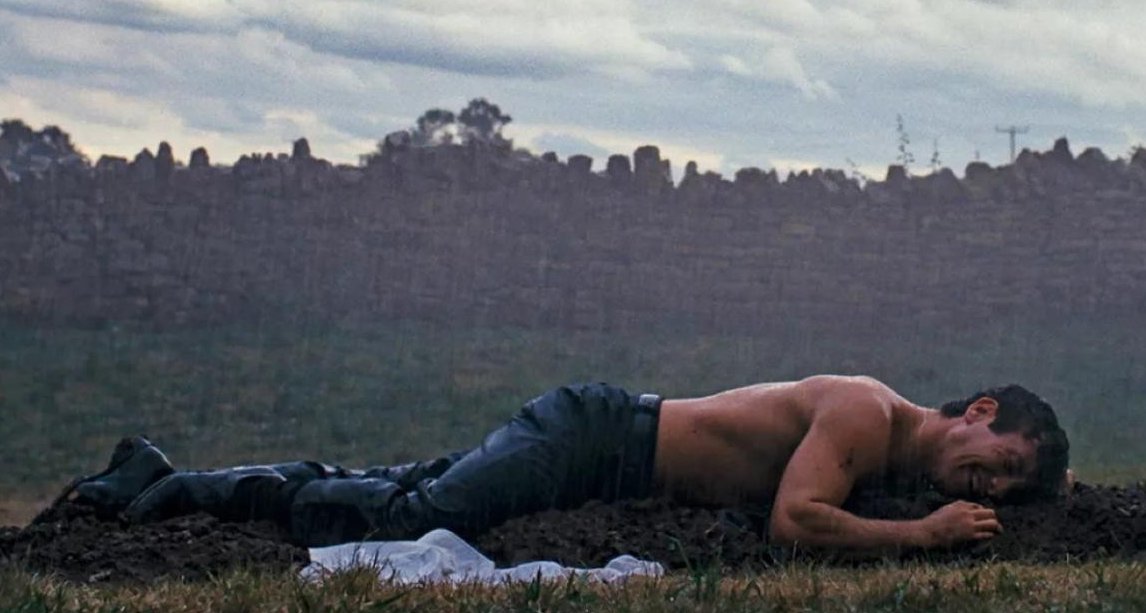 cael 🦀 tweet media