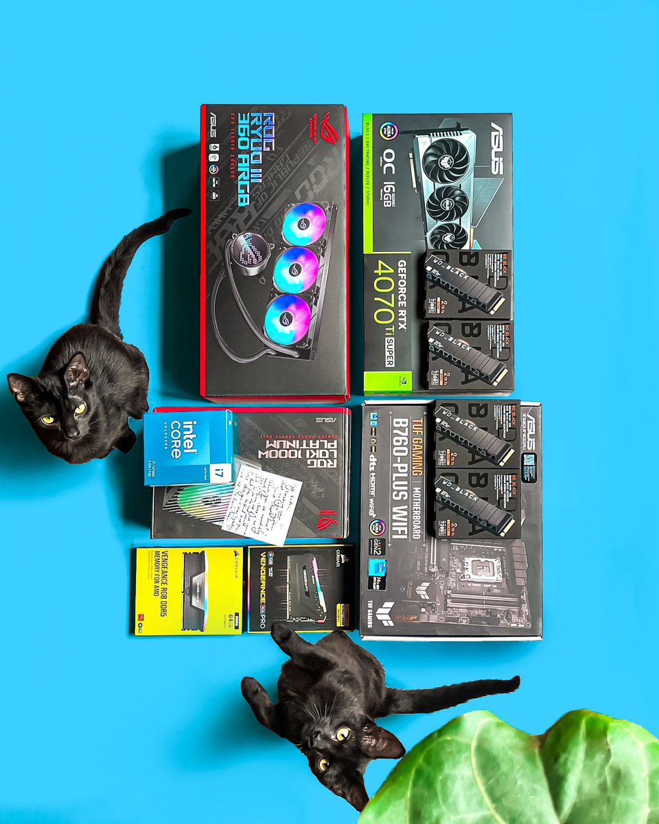 We don't sell fiddle leaf figs or miniature panthers but you can buy these obscure, strategically placed boxes in the middle of this shot—it's almost as if they serve as the focal point within this entire composition. Random, we know.
Thank you, Kaden, for the immense support💙