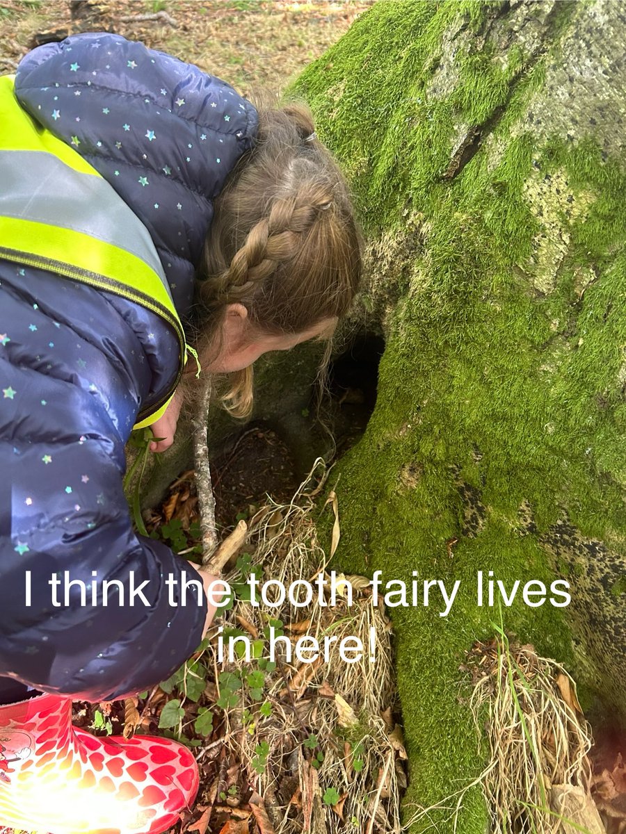 Ms Roche tweet media