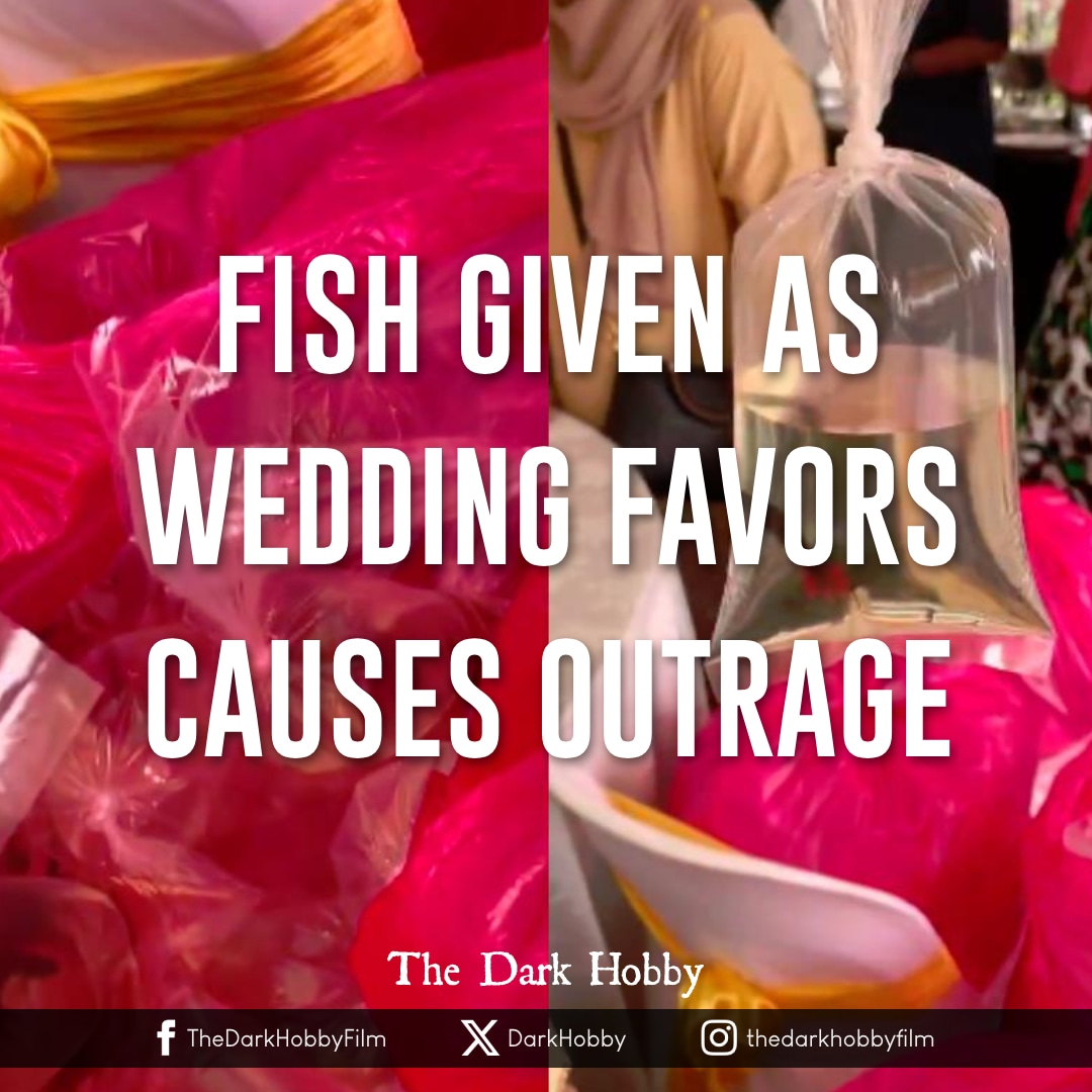 DarkHobby's tweet image. Fighting fish given to guests as wedding door gift goes viral and earns mixed reactions

thesun.my/style-life/goi… 

#fishlives #fishcruelty #fishabuse
