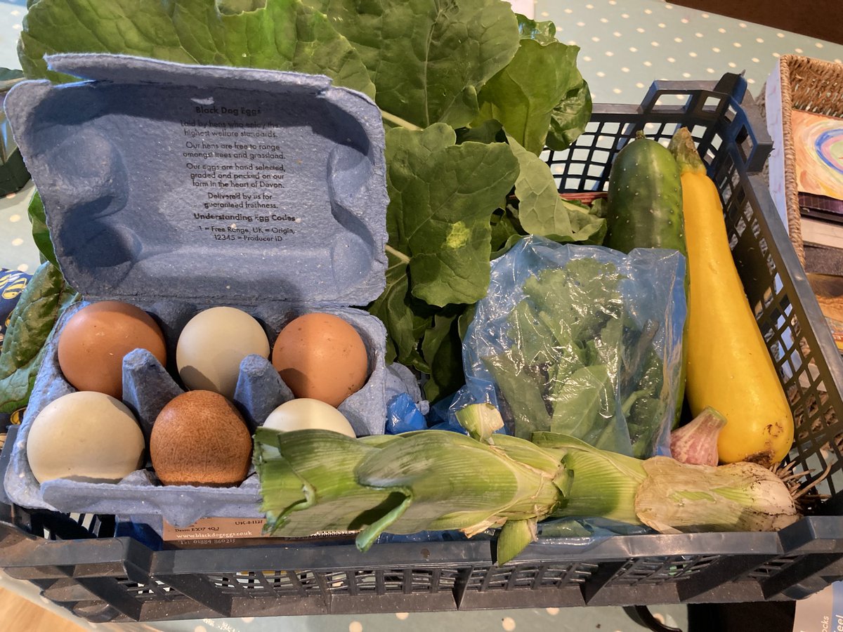 First ever ‘veggie box’ from our land to a customer - going to see if I can ship boxes weekly through the winter #gardening #farming