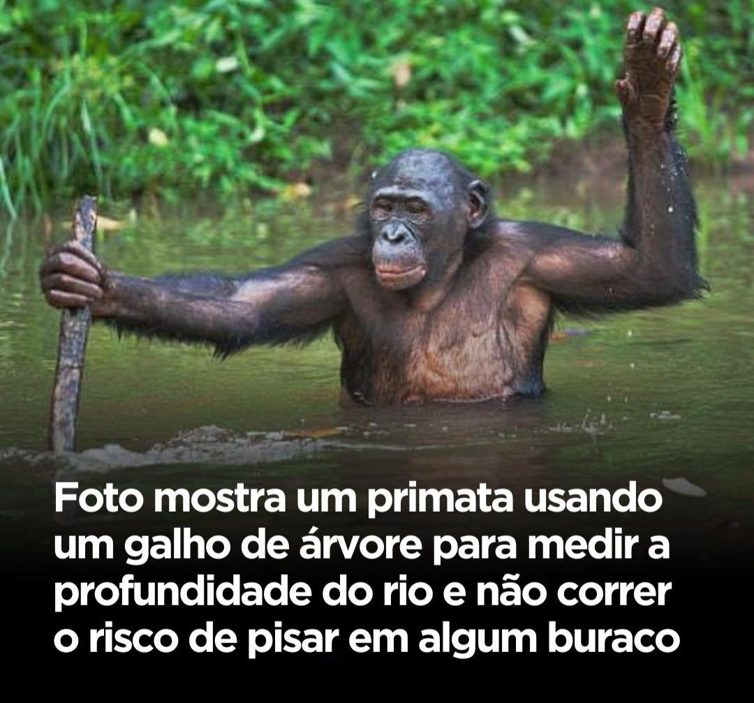 JoaquinTeixeira's tweet photo. O TRIPLO DO Q.I. DOS FÃS DA DEOLANE https://t.co/Nv2e1j0wGJ