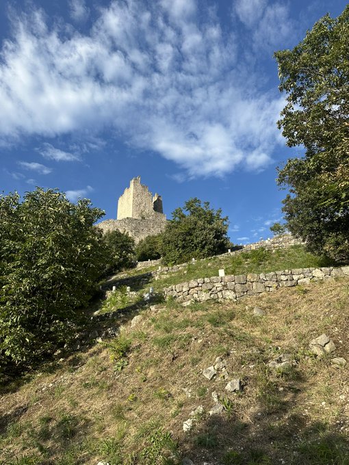 Watch Haley Reed✨$6 onlyfans✨'s leaked NSFW photo on TwXstars