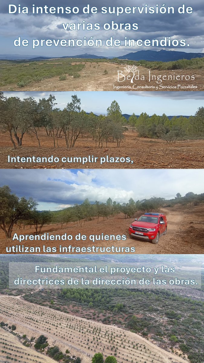 David Belda Miró tweet media