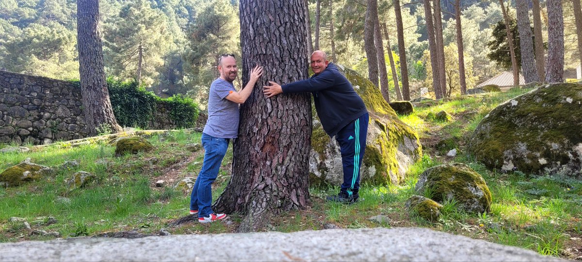 tornigardel's tweet photo. @aquilatierratve  Con mi hermano @TitiGardel desde la zona de EL RISQUILLO, en Guisando (Ávila) #abrazaunarbol https://t.co/qZFfh2u97H