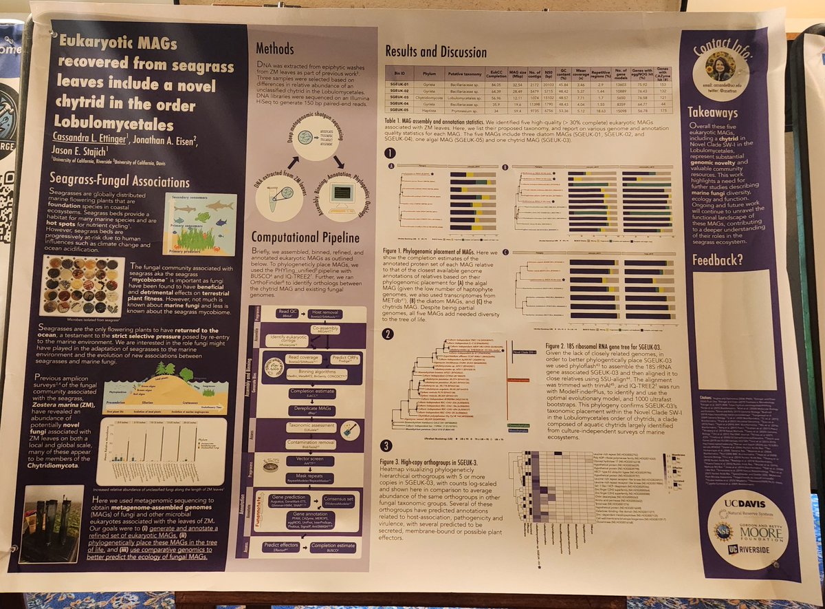 If you want to talk about microbial eukaryotes, come to my poster this afternoon to hear about using metagenomics to learn more about marine fungi 🌊🍄 #LAMG2024