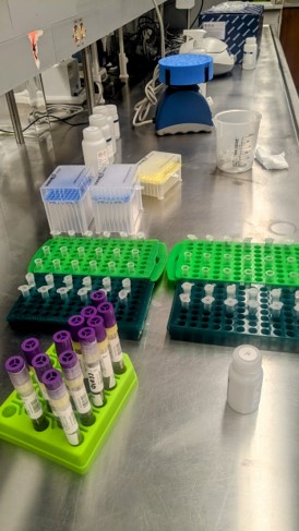 Congrats Laura Peirson, MS student <a href="/BioNMU/">BioNMU</a> in the WECOS Lab, for winning the South Africa Centre for Proteomic &amp; Genomic Research Shotgun Metagenomics Competition! This award will extend Laura’s research beyond Namibian carnivore gut microbiome dynamics to include other species.