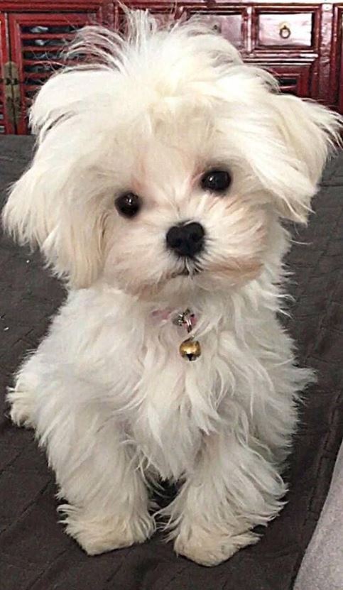 Can i get a ❤️ ...? Just one!