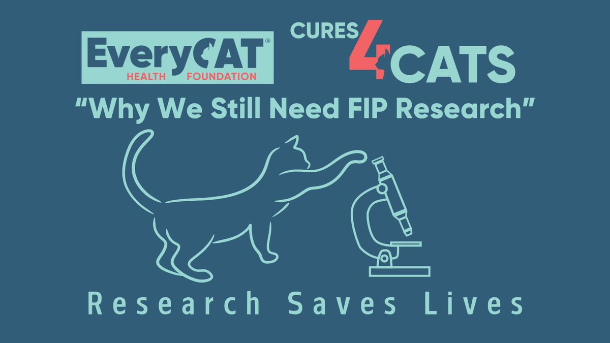 Since Dr. Niels Pedersen announced in 2019 that FIP was re-classified from "fatal" to "treatable," we've asked  "Why more research?" 
Read Dr. Vicki Thayer's answer. 
everycat.org/why-we-still-n…

#FIPwarrior #fipsurvivor  #everycathealth  #felinemedicine #cures4cats