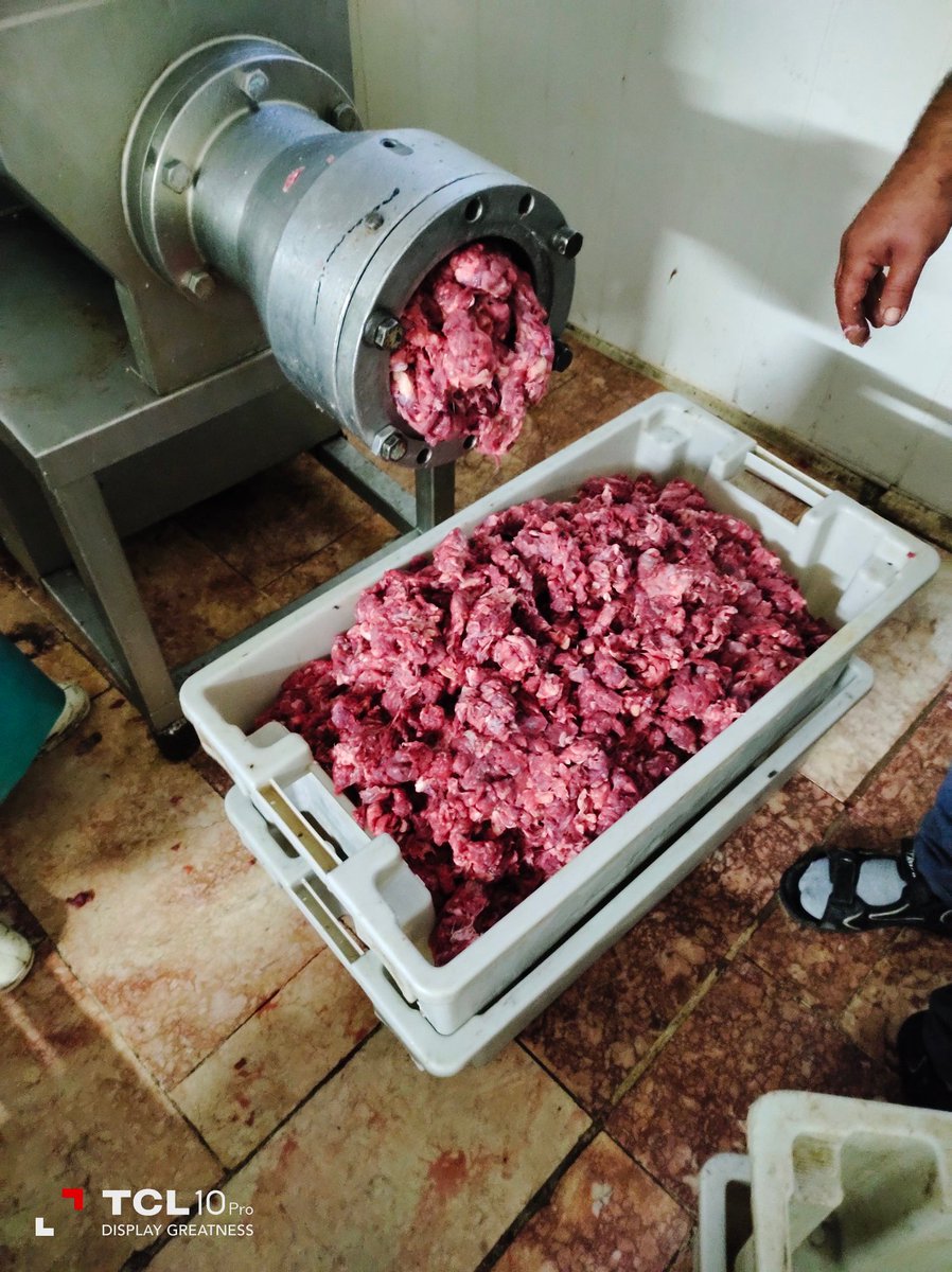 #INDUPIR, garantizando la continuidad de los procesos productivos, la Empresa Pesquera Sancti Spíritus #PESCASPIR, somos #GenteQueSuma 🐟🐟🐟
#MinalXMásAlimentos #SanctiSpíritusEnMarcha #PescaPorCuba 🇨🇺🇨🇺🇨🇺🇨🇺
<a href="/AlexisLorente74/">Alexis Lorente Jiménez</a> <a href="/DeivyPrezMartn1/">Deivy Pérez Martín</a> <a href="/AlbertoLopezcu/">Alberto López Díaz</a> <a href="/PosadaLoriga/">Armando Posada Loriga</a>