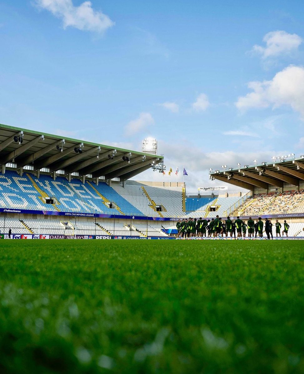 Melanie Harreus tweet media