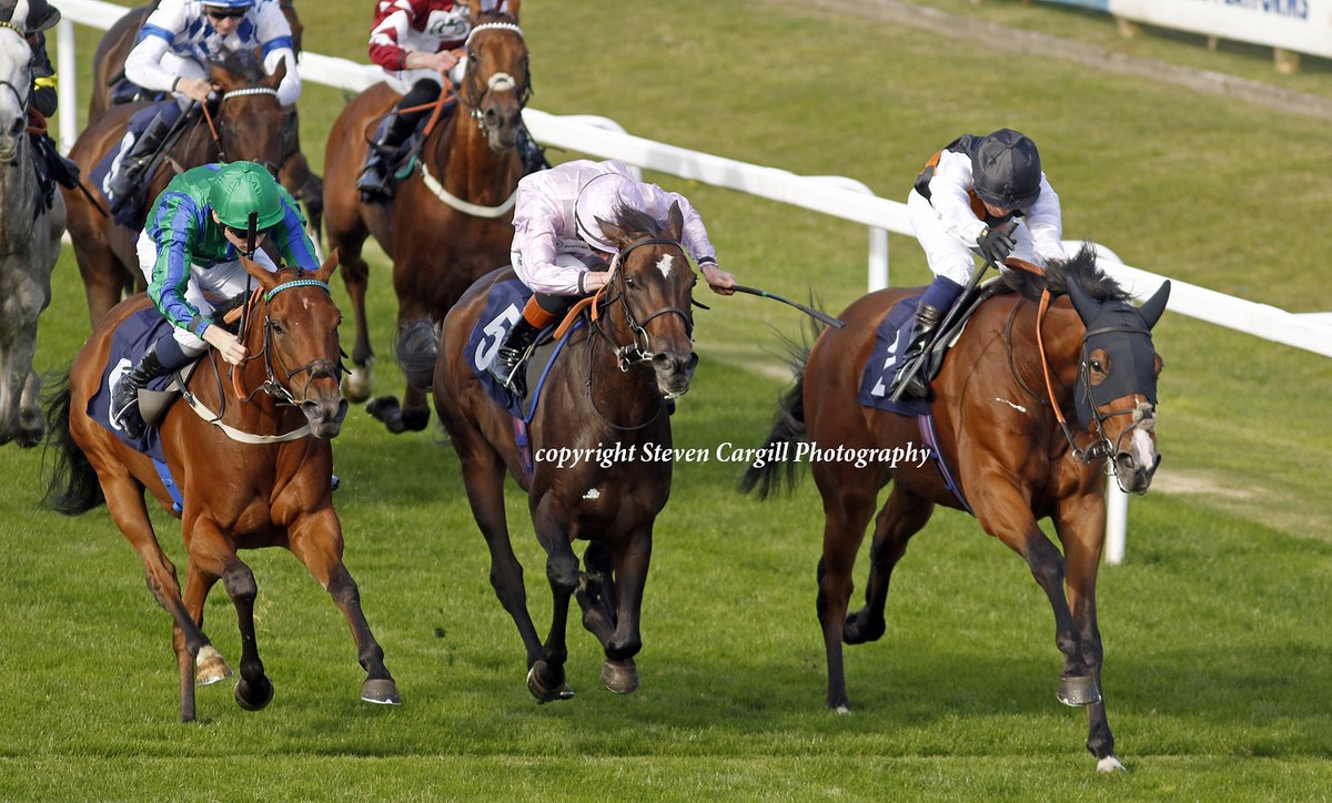 Steven Cargill (@steven_cargill) on Twitter photo 2nd win for 4yo g SNIPER'S EYE <a href="/SilvDSousa/">Silvestre de Sousa</a> in 10f handicap <a href="/GTYarmouthRaces/">Great Yarmouth Races</a> today for <a href="/paardeberg_stud/">Paardeberg Stud</a> Expert Eye <a href="/SimcockRacing/">David Simcock Racing</a> 2nd win for 4yo g SNIPER'S EYE <a href="/SilvDSousa/">Silvestre de Sousa</a> in 10f handicap <a href="/GTYarmouthRaces/">Great Yarmouth Races</a> today for <a href="/paardeberg_stud/">Paardeberg Stud</a> Expert Eye <a href="/SimcockRacing/">David Simcock Racing</a>