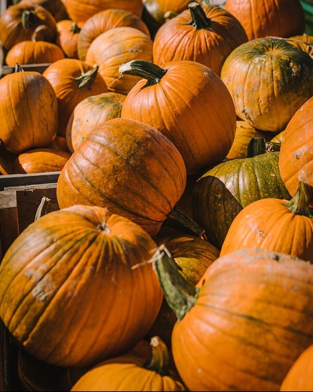 Use New Brunswick food as part of your next fundraiser and get up to 50% back! #BuyLocalforGood  eatlocalnb.ca/article/local-…