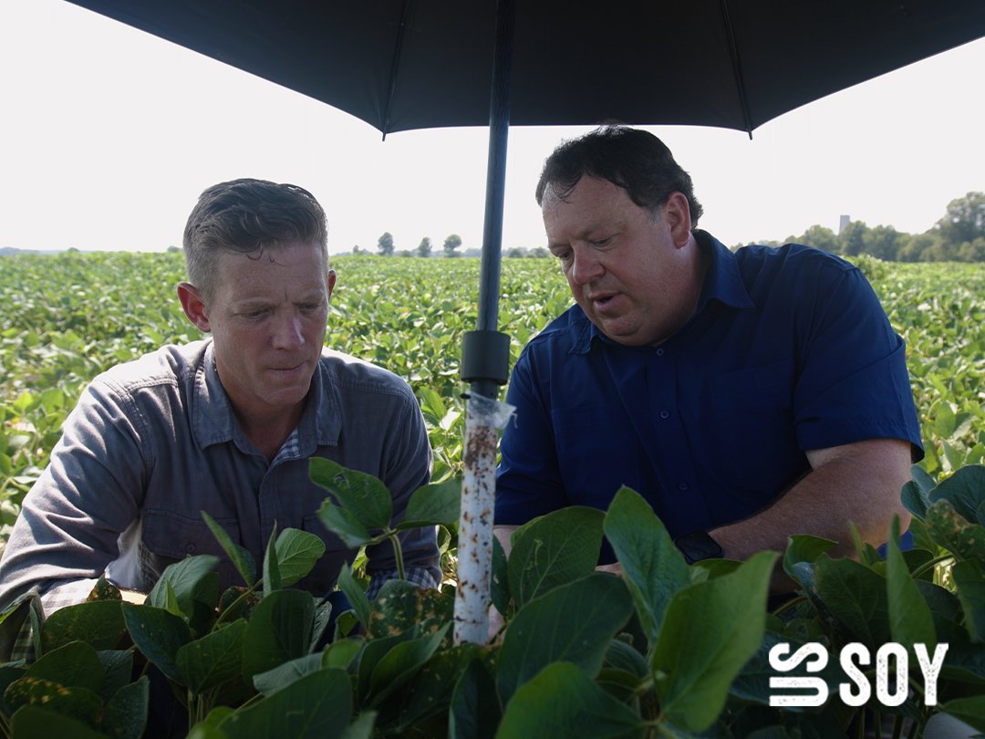 As part of the #USSoy GroundBreaking: A Story of Innovation documentary, Arkansas farmer Brad Doyle discusses soybean genetics &amp; the constant improvement seen in soybeans by combining history &amp; innovation. Learn more: ussoy.org/ground-work-do…