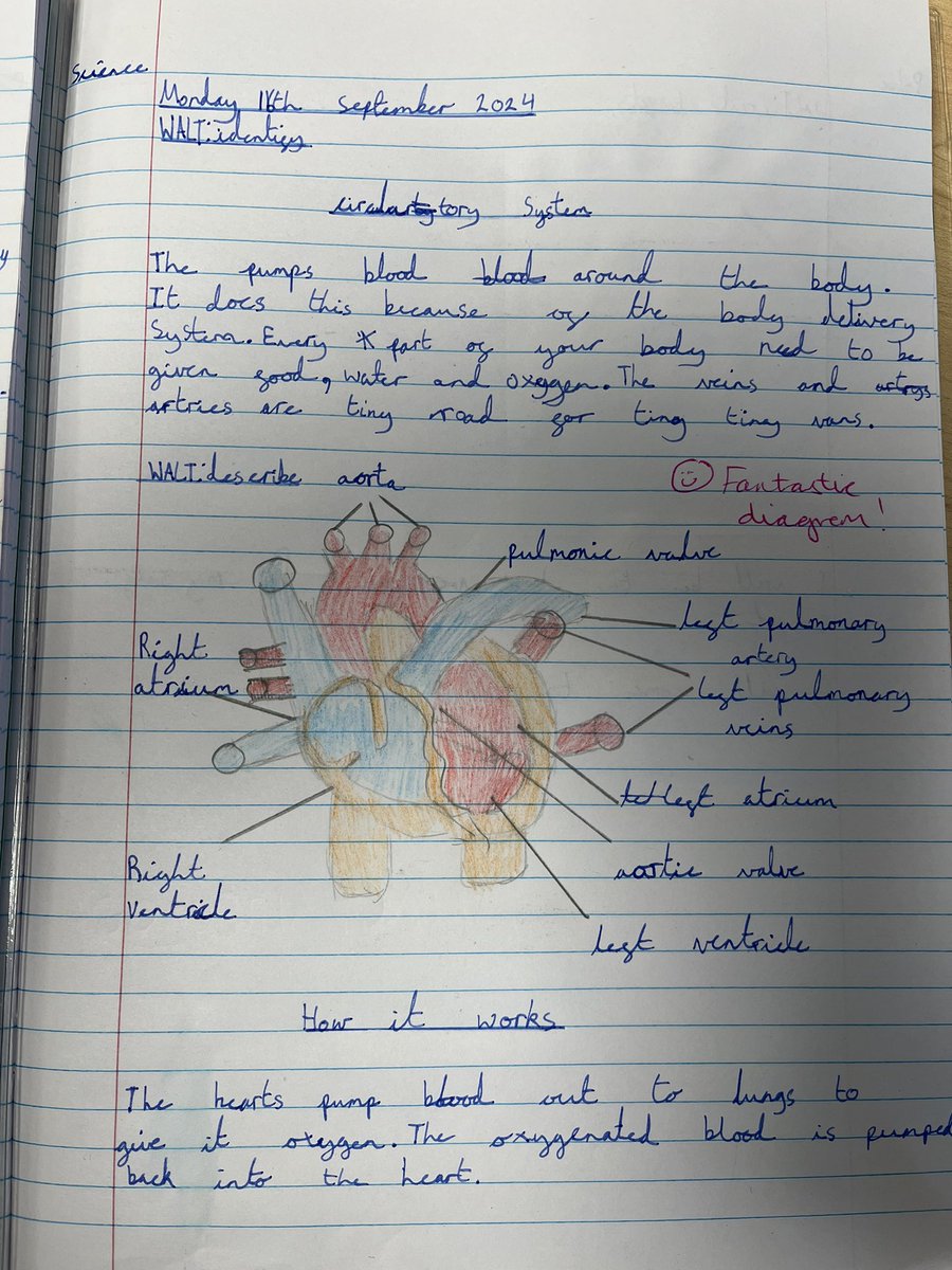 MMontgomBerrow's tweet photo. A great start to the year for our Y6 Crew. They have enthusiastically taken on their role as Parliament Leaders. As scientists, we have been learning about the circulatory system; I’m so impressed with this work by Alicia and Molly! https://t.co/5muhS8l2W7