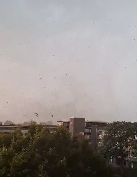 weerverteller's tweet photo. Meppel werd zaterdagavond 24 augustus door een zware onweersbui getroffen. Onderzoek heeft uitgewezen dat daarbij toch een windhoos over de stad is getrokken. https://t.co/ywuXVmWI5o #windhoos #tornado #drenthe #onweer #meppel #valwind https://t.co/gA7OwtFhMS