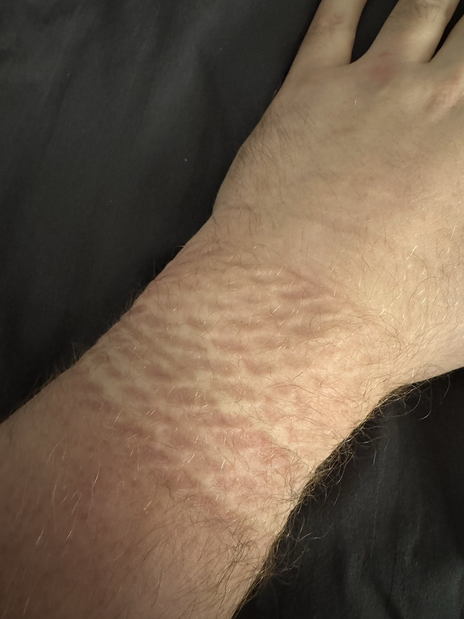 ropemarks Bob Roos | RopeMarks (@ropemarks) | AllMyLinks