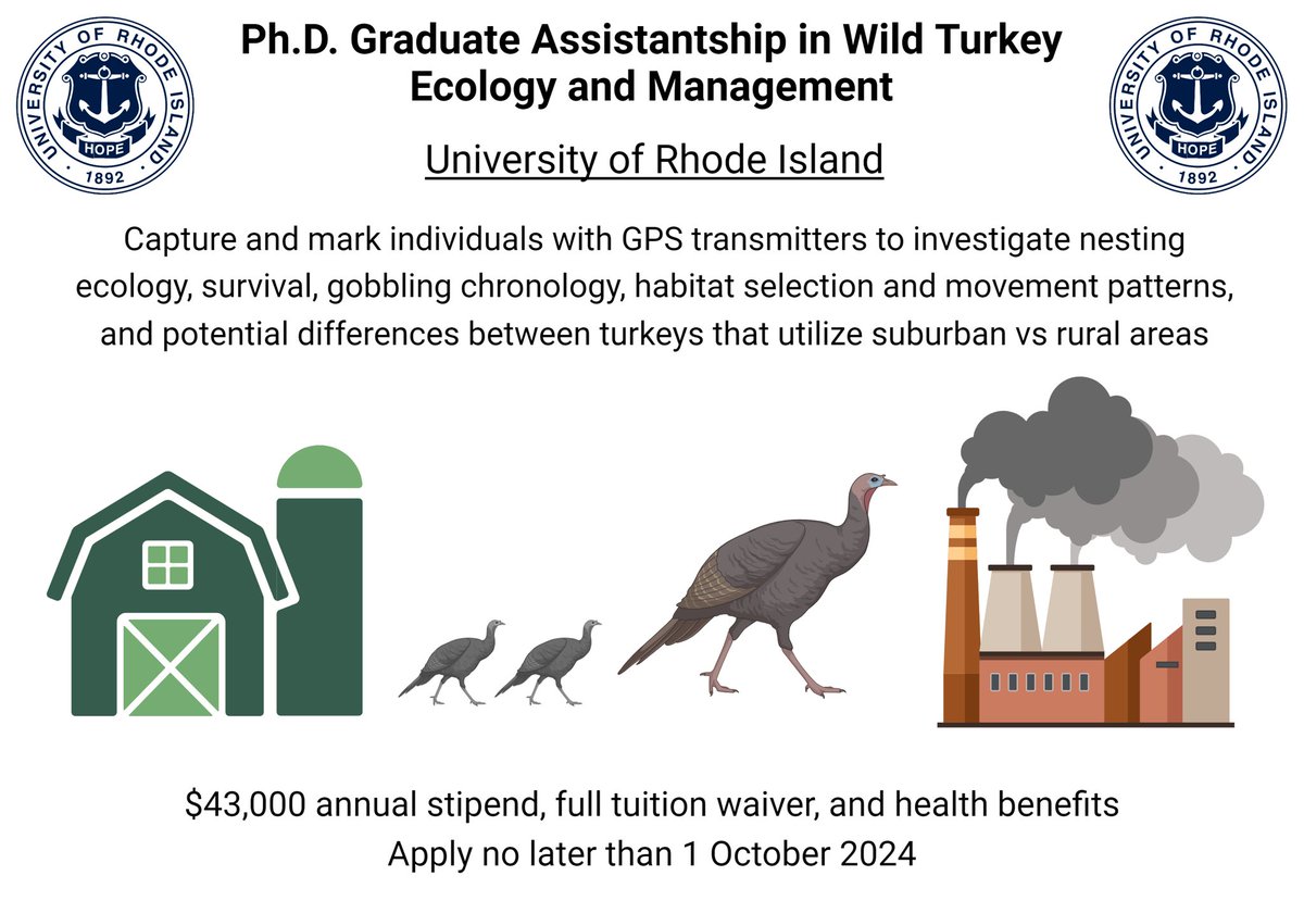Dylan Bakner (@dylandoesducks) on Twitter photo Please share with anyone who might be interested in joining our research team at <a href="/universityofri/">URI</a> For more information or to apply, visit: jobs.rwfm.tamu.edu/view-job/?id=9…. Please share with anyone who might be interested in joining our research team at <a href="/universityofri/">URI</a> For more information or to apply, visit: jobs.rwfm.tamu.edu/view-job/?id=9….