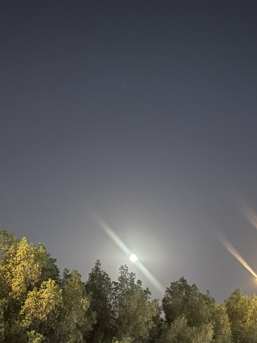 im_kholod's tweet photo. 17 September 🤎 https://t.co/MKA5RFHetb