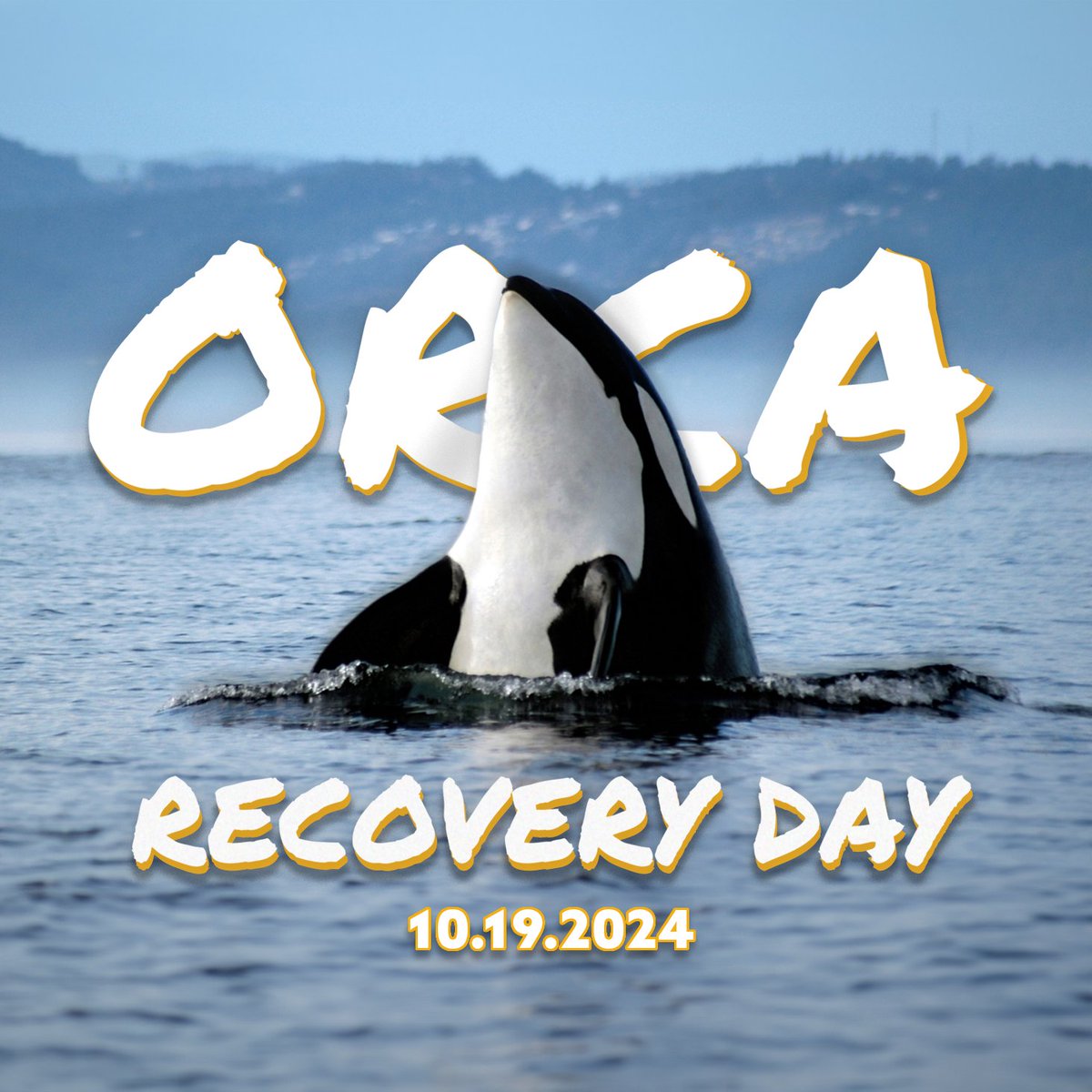 Orca Recovery Day is October 19! Leave a legacy of stewardship and help the Southern Resident Orcas. Find a habitat restoration event near you by visiting: betterground.org/ord/