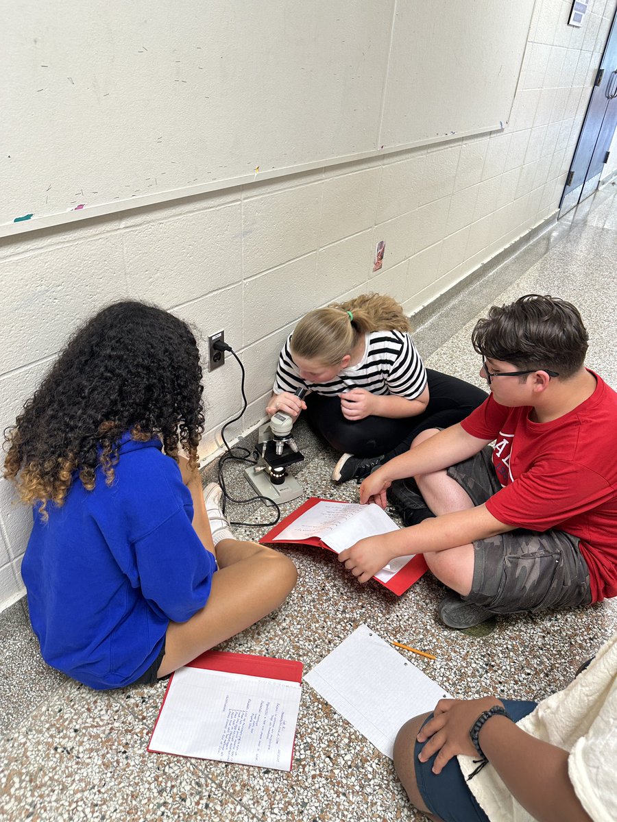 TaraMcFarling1's tweet image. Today our grade 8’s completed their first science lab using microscopes!  I loved their enthusiasm and wonder!  @Woodman_Wolves @GEDSB #labwork #sciencerules #suchagreatday
