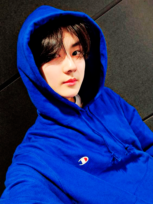 gomibang_'s tweet photo. Feliz día a los Baby Shark de Arkonis🦈🌸
Hoy de azul #LikeAShark https://t.co/ai7UfxkCef