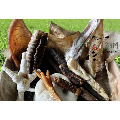 SighthoundSocialClub tweet media