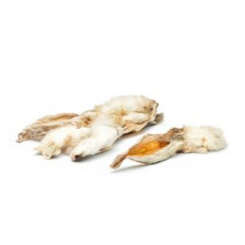 SighthoundSocialClub tweet media