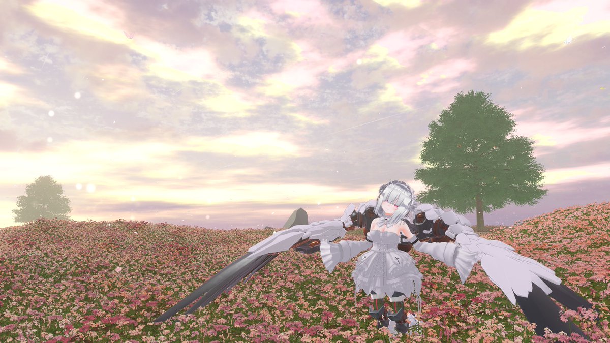 TensiroO's tweet photo. きゃっと要素が失われたますきゃっと https://t.co/o4SkyJeZCU