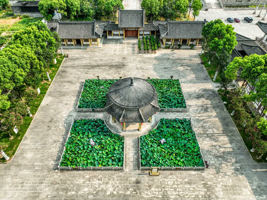 WujinChangzhou's tweet image. 🌿 Culture Walk Stop 1: Wuyuan Café @ Baolin Temple 🌿

Discover Wuyuan Café at the southwest corner of #BaolinTemple, where serene lotus pond views and modern simplicity create a unique atmosphere. Enjoy tranquil moments with specialty #coffees like the &quot;Master’s Pour-Over&quot; and…