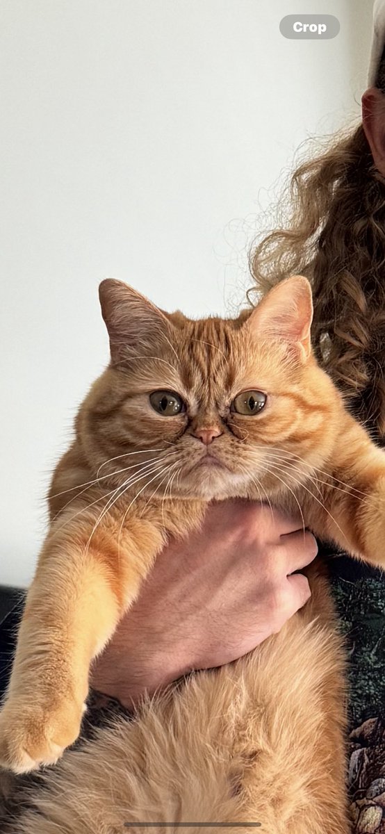 AmericanDad tweet media
