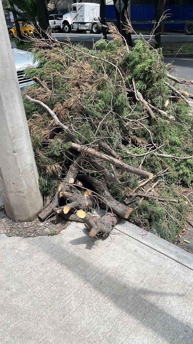 Raptor2526's tweet photo. @SacmexCDMX quisiera solicitar que arreglen la banqueta que quedó destruida y hasta con árbol tirado, en av. De las granjas, Azcapotzalco… repararon una fuga pero dejaron hecho un desastre para el peatón… ayuda por favor! Ubicación: https://t.co/bF2YXLU83J https://t.co/EtFl01EqIG