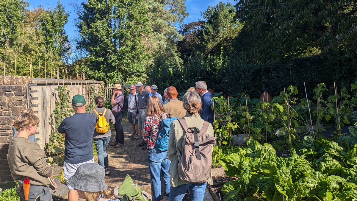 RHS Tender Ornamental Plant Committee (@tender_plant) on Twitter photo In the spirit of collaboration #TOPC member <a href="/GardeningSaul/">Saul Walker</a> joined the <a href="/The_RHS/">The RHS</a> #FruitVegetableHerb Committee today to look at the wonderful produce grown at <a href="/RHS_Rosemoor/">RHS Garden Rosemoor</a> and even joined in the final #Tomato trial forum for the year. Thanks for a wonderful day! In the spirit of collaboration #TOPC member <a href="/GardeningSaul/">Saul Walker</a> joined the <a href="/The_RHS/">The RHS</a> #FruitVegetableHerb Committee today to look at the wonderful produce grown at <a href="/RHS_Rosemoor/">RHS Garden Rosemoor</a> and even joined in the final #Tomato trial forum for the year. Thanks for a wonderful day!