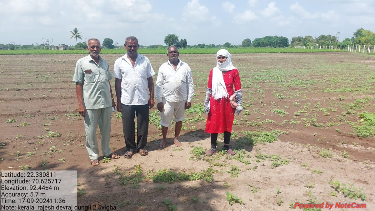 રાજકોટ જિલ્લાના પડધરી તાલુકામાં વધુ વરસાદના કારણે ઉભા પાકને  નુકસાન થયેલ છે . ખેડૂતોને સાથે રાખી  ગ્રામસેવક દ્વારા  એક થી બે કિલોમીટર અંદર ચાલીને ખેડૂતના ખેતર ઉપર પાક નુકસાન સર્વે  ની કામગીરી કરવામાં આવી<a href="/RaghavjiPatel/">Raghavji Patel</a> <a href="/CollectorRjt/">Collector Rajkot</a> <a href="/DDORAJKOT1/">District Panchayat Rajkot</a> <a href="/DaoRajkot/">DAO Rajkot</a> <a href="/CMOGuj/">CMO Gujarat</a>