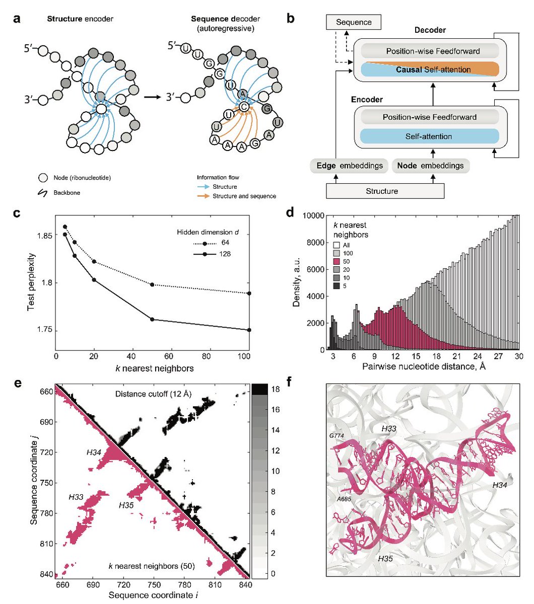 RNA language models predict mutations that improve RNA function @doudna_lab 

1/ This paper presents groundbreaking research on RNA language models (LMs) that predict mutations to improve RNA function. By leveraging deep learning, the models optimize RNA thermostability, opening